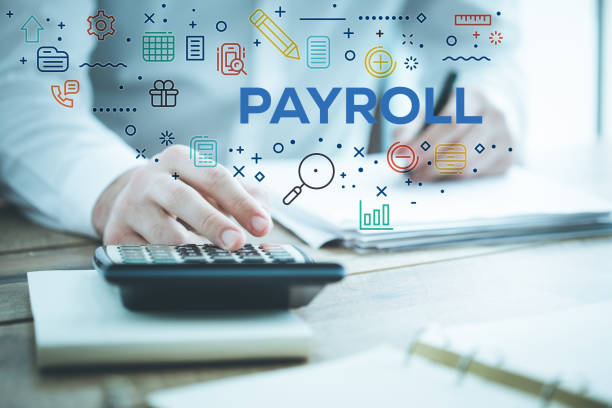 How Payroll Software Can Streamline Your Small Business Operations