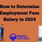 employment pass salary 2024